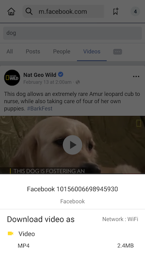 private facebook video to mp3