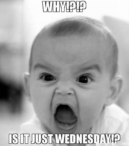 Download Funny Memes A Collection Of The Funniest Memes